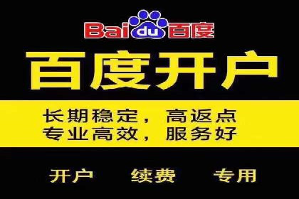 成功案例：SEM外包公司助力企业实现低成本广告